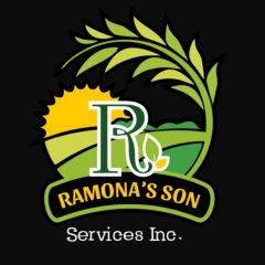 Ramona's Son Services Inc